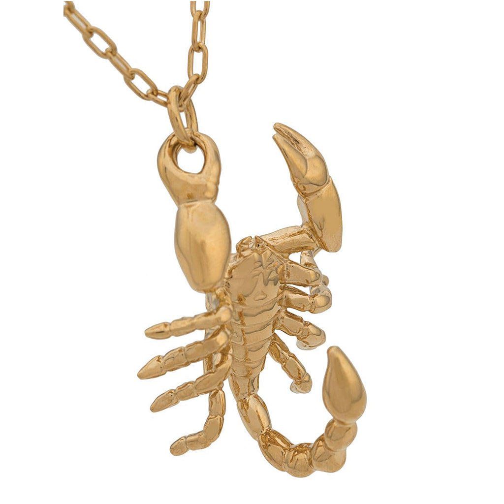 Ambush Jewellery Scorpion Charm Necklace Gold